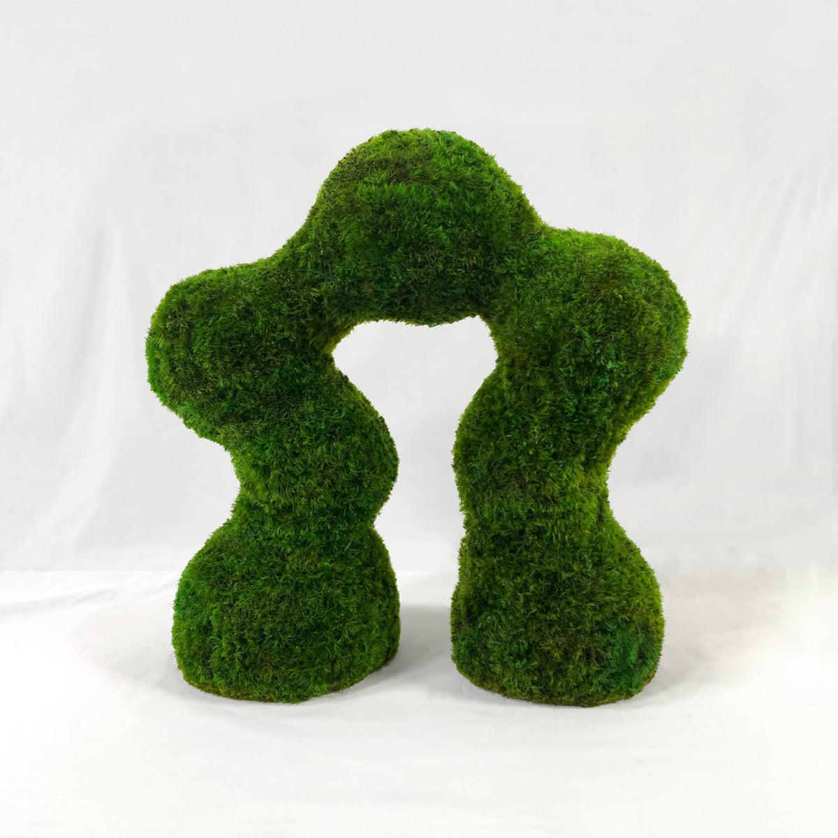 Dreamcatcher Moss Tabletop showcasing its lush mood moss and petal-arch shape