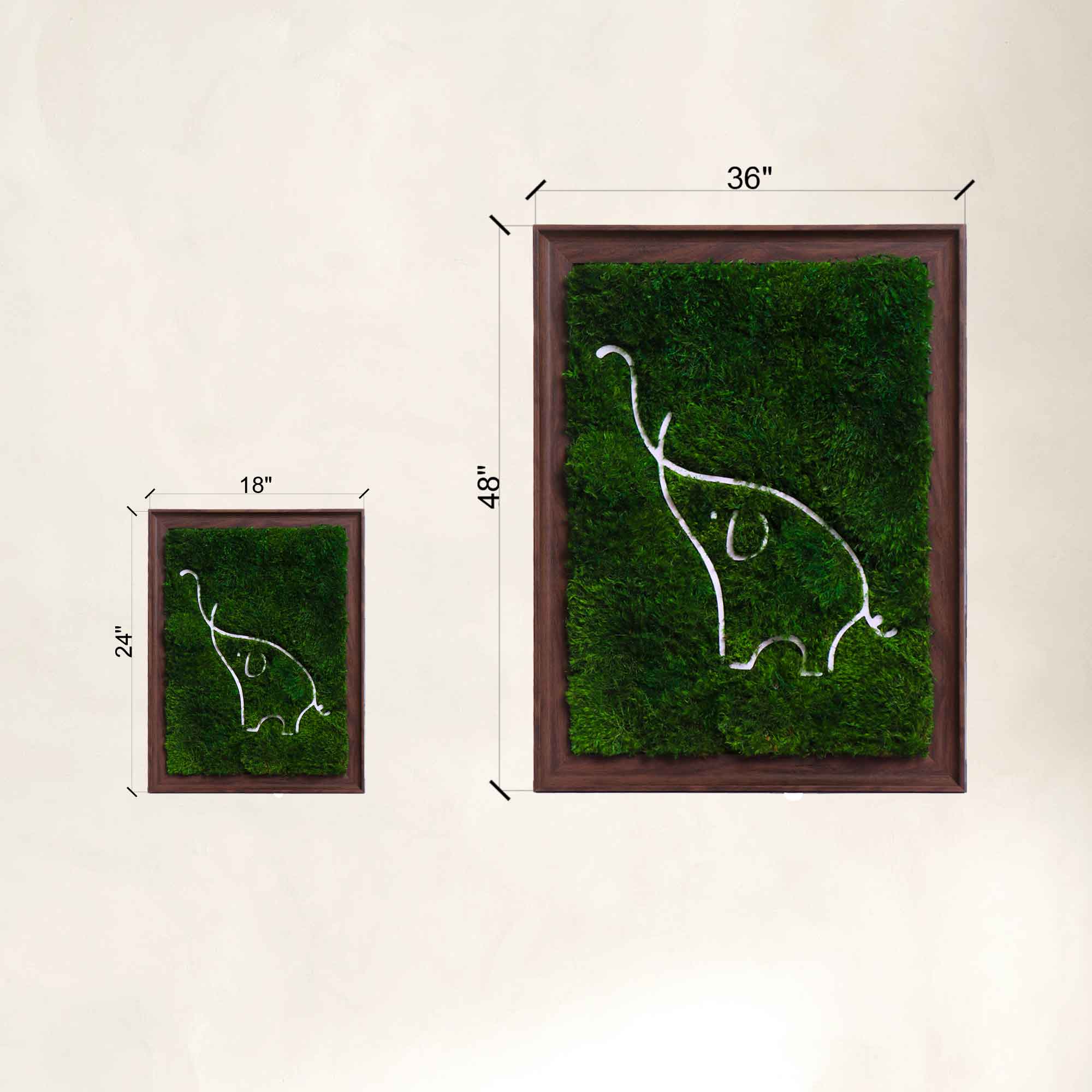 Size Comparation of engraved elephant pattern and lush mood moss