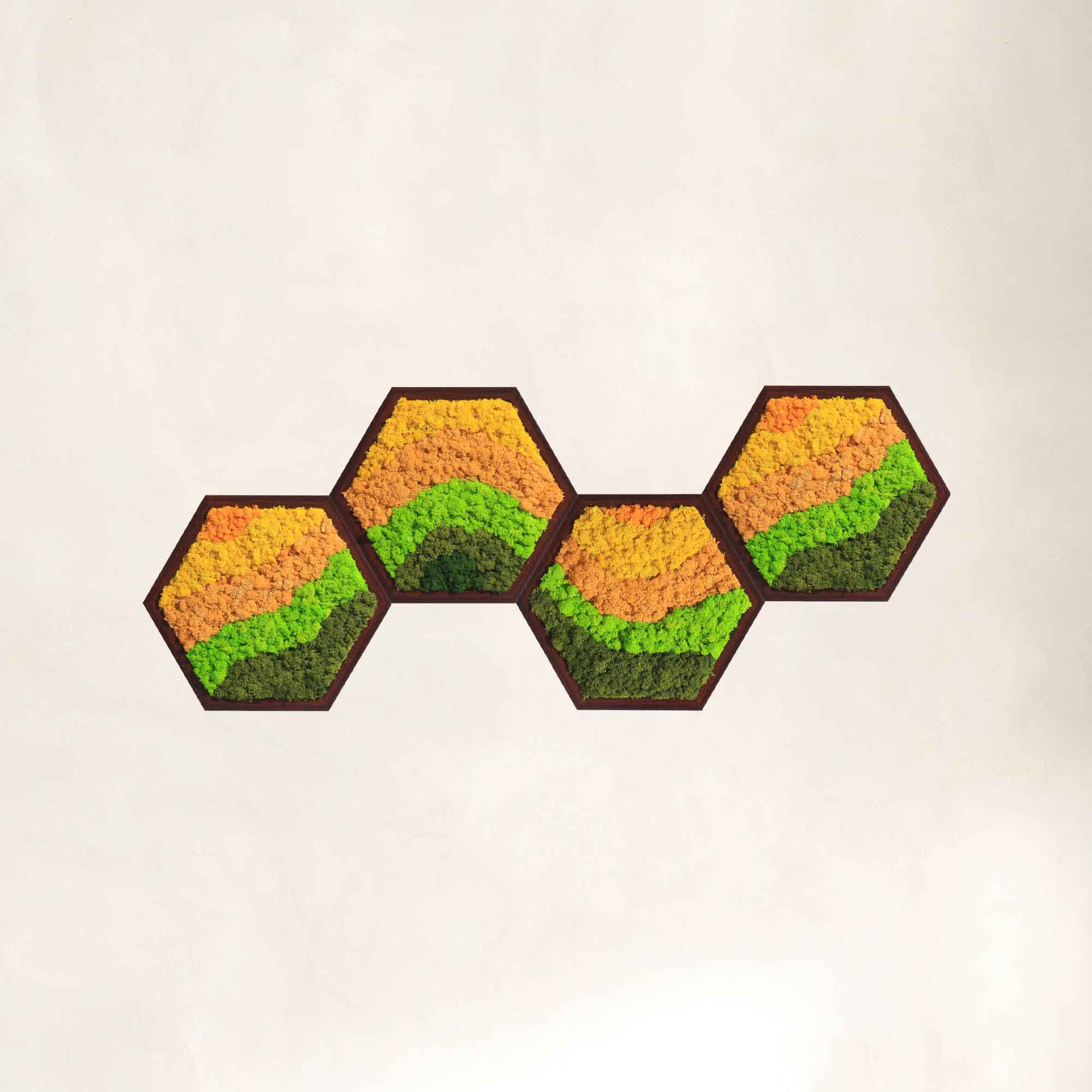 Hexagon moss wall art set with streamlined gradient green preserved moss